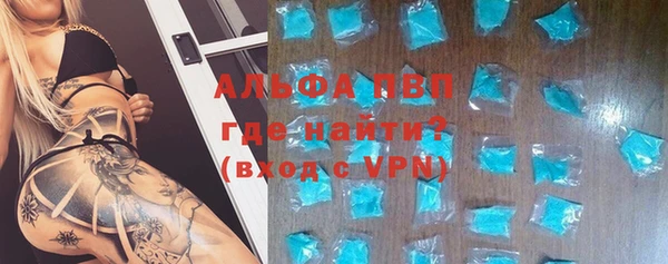 гашик Гусев